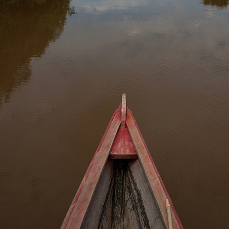 AMAZONAS 13 rio mosaico galeria_MG_4028.jpg
